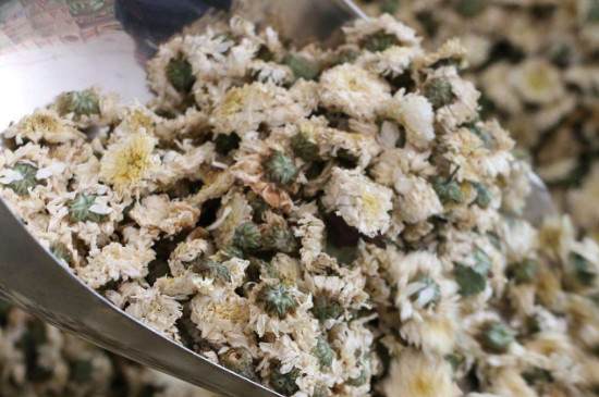 菊花茶買小朵還是大朵，泡茶用的小菊花和大菊花哪個(gè)好
