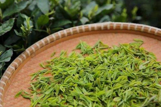 炒青綠茶與綠茶的區(qū)別，烘青和炒青哪個(gè)好喝？