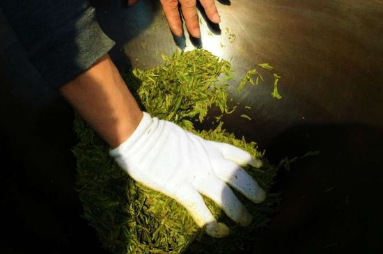 茶葉怎么炒制才香，怎樣炒茶葉更香？