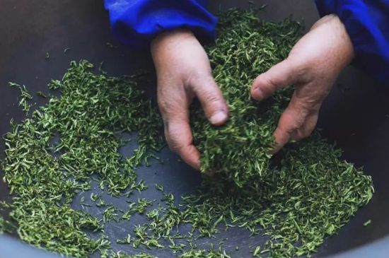 自家炒茶葉怎么炒，自己炒茶葉的步驟
