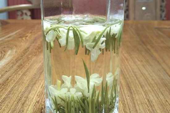 女孩喝茉莉茶的好處，茉莉茶葉的功效與禁忌