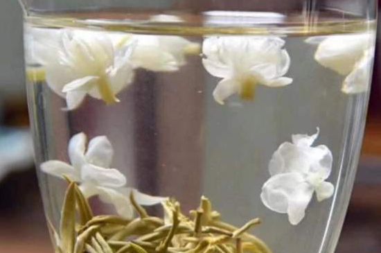 茉莉泡水禁忌，茉莉干花泡水的功效與禁忌