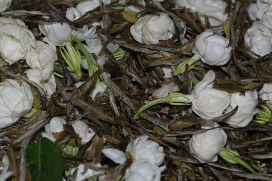 茉莉龍珠怎么做的，茉莉龍珠的制作工藝