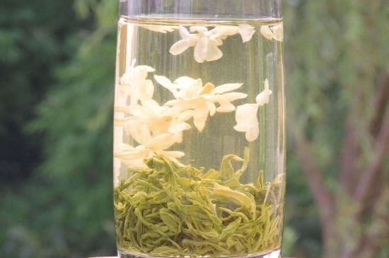茉莉龍珠可以和什么一起泡茶，茉莉龍珠茶能加蜂蜜嗎？