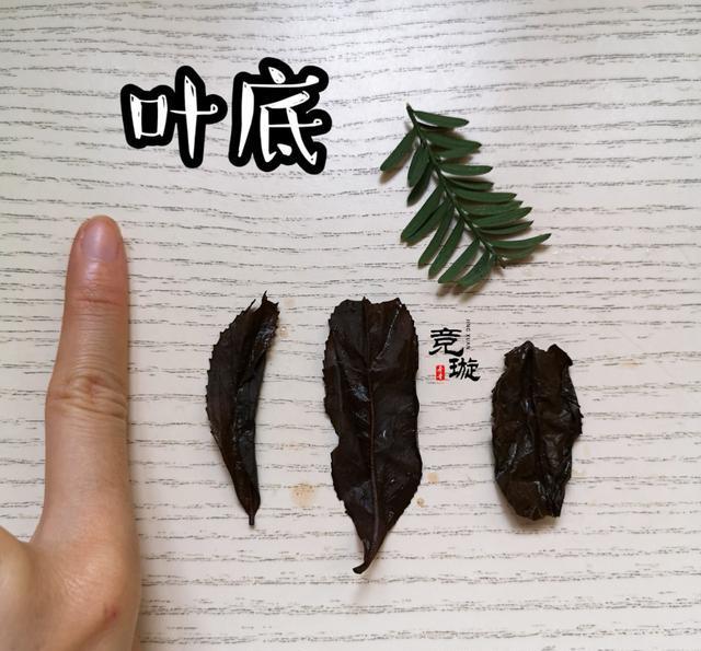 正山小種很細還很黑亮，正山小種越細越好嗎
