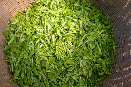 烏牛早和龍井的區(qū)別圖片，龍井43號和烏牛早茶的對比
