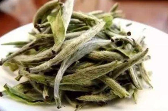 白茶三年為藥七年為寶的原理，為什么說一年茶三年藥七年寶？