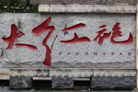 母樹大紅袍給誰喝了，為什么母樹大紅袍叫三棵六株？