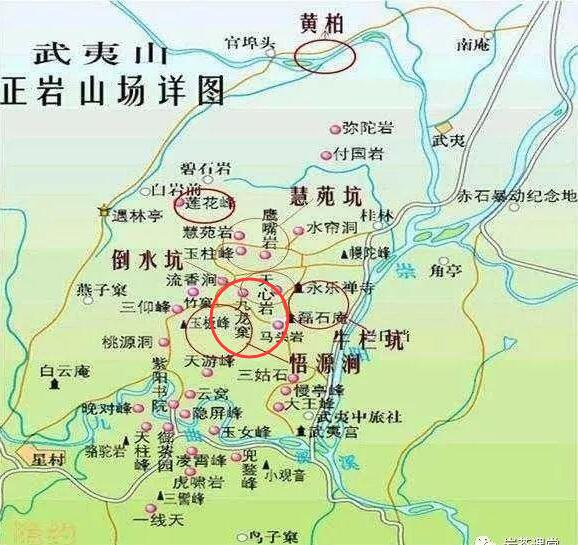 母樹大紅袍給誰喝了，為什么母樹大紅袍叫三棵六株？