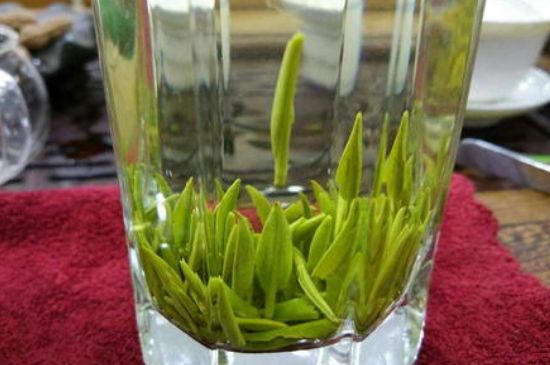 雀舌有一股青草味，雀舌為什么有青草味？
