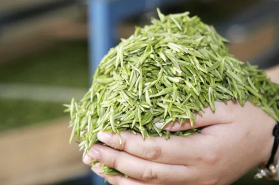 高山云霧茶屬于什么茶，高山云霧茶哪里的最好