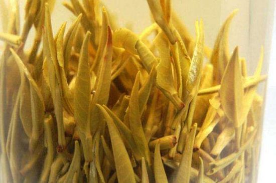 黃茶不適合哪些人喝，黃茶的功效與作用禁忌