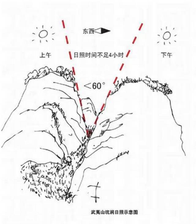武夷山為什么盛產(chǎn)茶葉，武夷山茶為什么好喝？