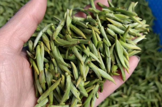 龍井茶好壞的鑒別圖片，如何區(qū)別龍井茶的好壞？