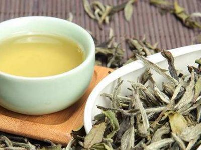 大紅袍好還是白茶好，福鼎白茶和大紅袍哪個貴？
