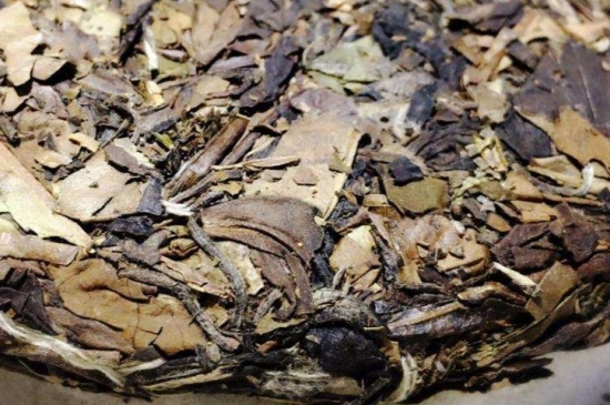 煮茶的步驟圖解，正確的煮白茶方法！