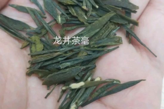 西湖龍井茶毫和發(fā)霉區(qū)別圖片，長霉的龍井茶葉會是什么樣？
