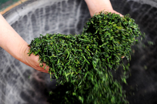潮汕炒茶屬于什么茶，潮汕炒茶是綠茶嗎？