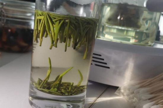 金壇雀舌算不算好茶，金壇雀舌屬于什么檔次茶葉？