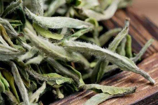 荒野銀針有什么特點，荒野銀針的味道口感咋樣？