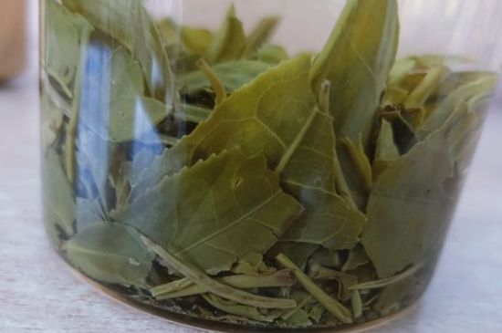 綠茶陳茶和新茶區(qū)別，綠茶怎樣區(qū)分新茶和陳茶