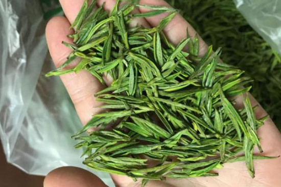 什么綠茶茶葉唇齒留香，哪個品種綠茶香氣好？