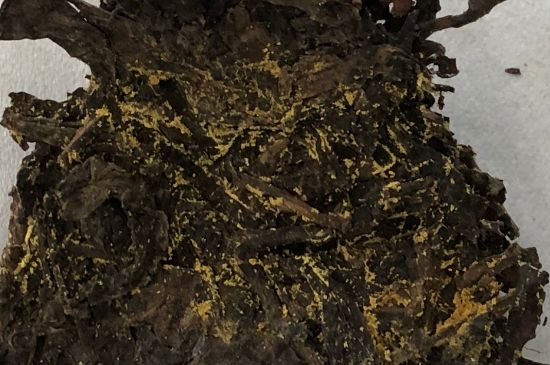 怎么知道涇渭茯茶是否變質(zhì)，茯磚茶金花和發(fā)霉的區(qū)別