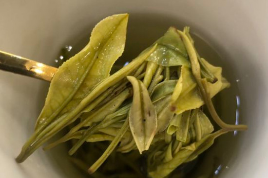 新舊白茶怎么區(qū)分，怎么分辨白茶是新還是舊