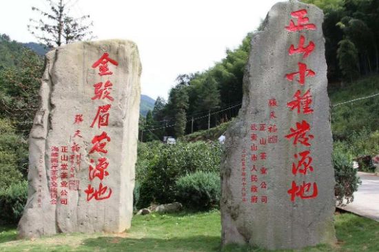 300塊錢的金駿眉能喝嗎，兩三百多金駿眉和一千多區(qū)別