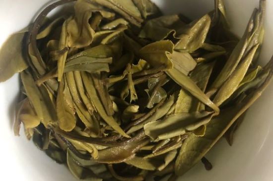 三年白茶賽砒霜，這是真的嗎？