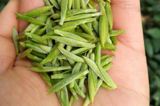 什么綠茶味道濃香，那個綠茶比較濃香？