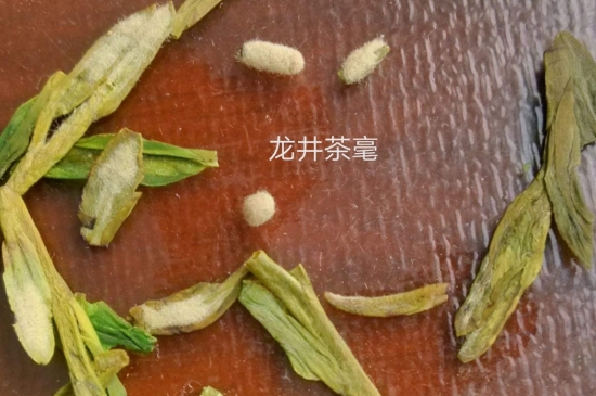 西湖龍井茶毫和發(fā)霉區(qū)別圖片，長霉的龍井茶葉會是什么樣？
