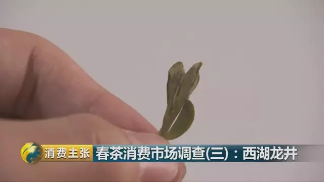 龍井群體種和43號的區(qū)別圖片，龍井43和群體種哪個好喝？