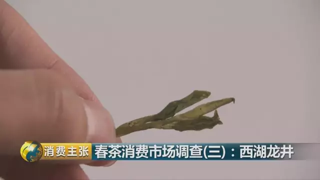 龍井群體種和43號的區(qū)別圖片，龍井43和群體種哪個好喝？