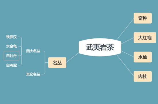 武夷巖茶品種大全，巖茶有幾種？