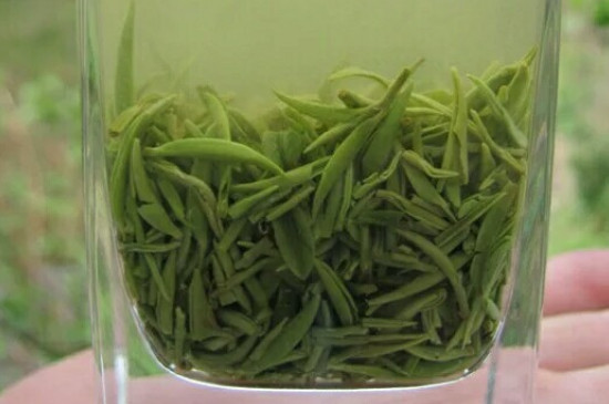 什么綠茶茶葉唇齒留香，哪個品種綠茶香氣好？