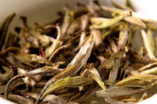 荒野銀針市場價多少，真正的荒野白毫銀針多少錢？