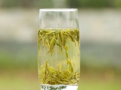 霍山黃芽算是好茶嗎，霍山黃芽屬于什么茶？