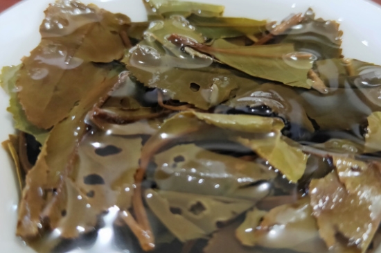 白茶三年為藥七年為寶的原理，為什么說一年茶三年藥七年寶？