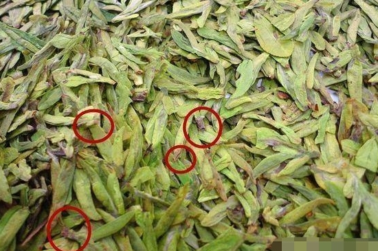 烏牛早和龍井的區(qū)別圖片，龍井43號和烏牛早茶的對比