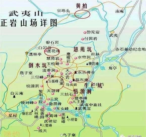300塊錢的金駿眉能喝嗎，兩三百多金駿眉和一千多區(qū)別