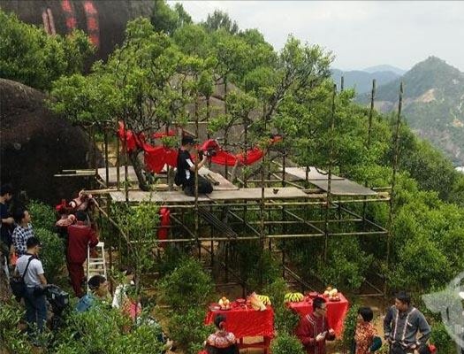 宋種一號(hào)價(jià)值為什么高，鳳凰單樅宋種1號(hào)價(jià)格與產(chǎn)量多少？