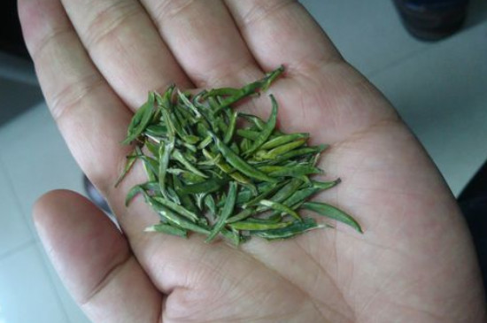 竹葉青茶怎么泡，竹葉青如何沖泡