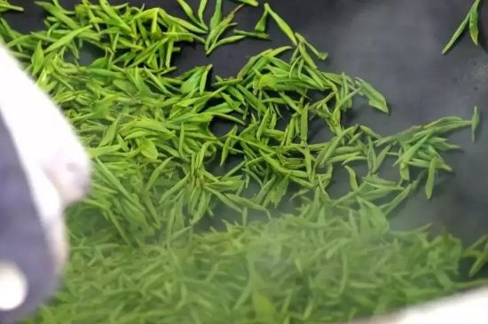 碧螺春為什么泡水渾濁，碧螺春茶葉泡水感覺(jué)很臟是混濁的