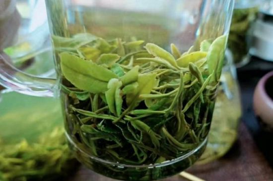 什么綠茶味道濃香，那個綠茶比較濃香？