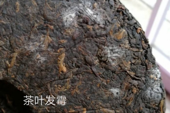 西湖龍井茶毫和發(fā)霉區(qū)別圖片，長霉的龍井茶葉會是什么樣？